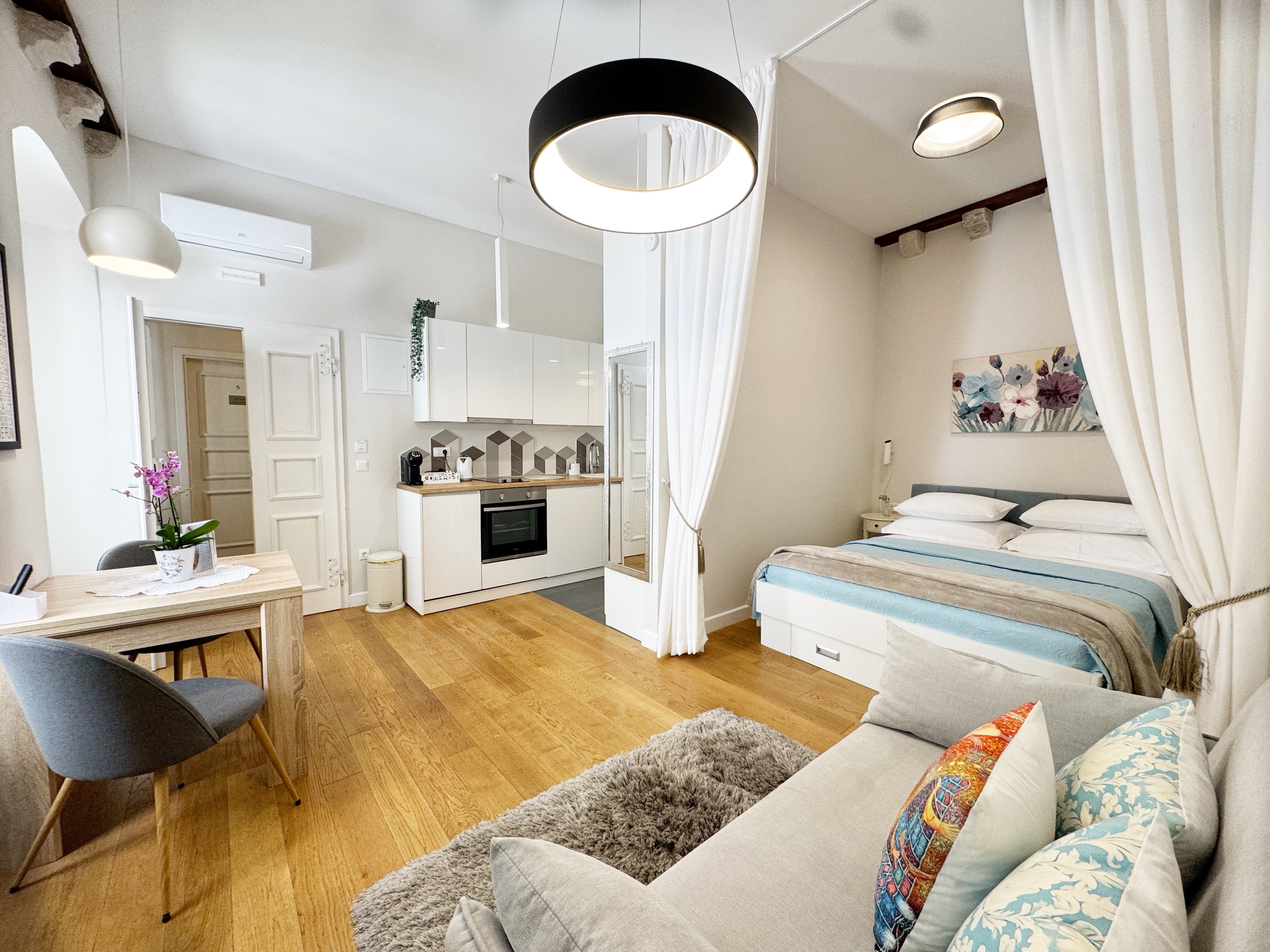 Dalmatian Chrysanthemum